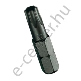 BIT TORX 40X25 USH