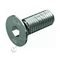 A2 Bkny SF DIN7991 inox M 10x25