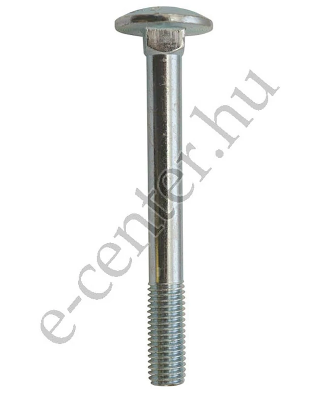 Kapupánt csavar M6X40 DIN603